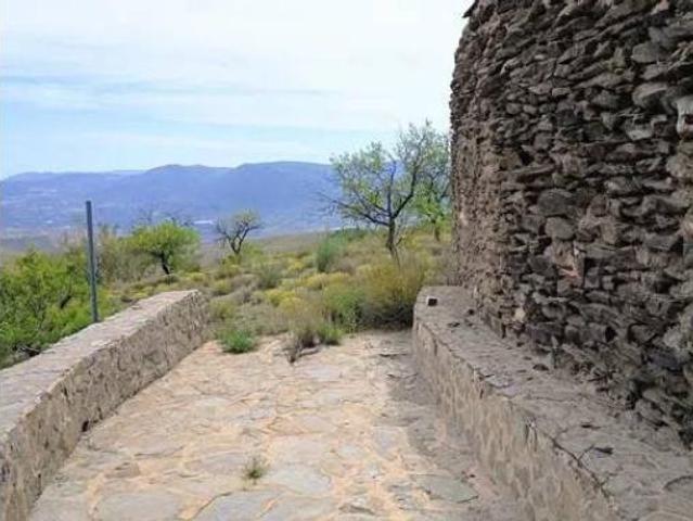 Terreno en alquiler en El Almendrico, Alboloduy