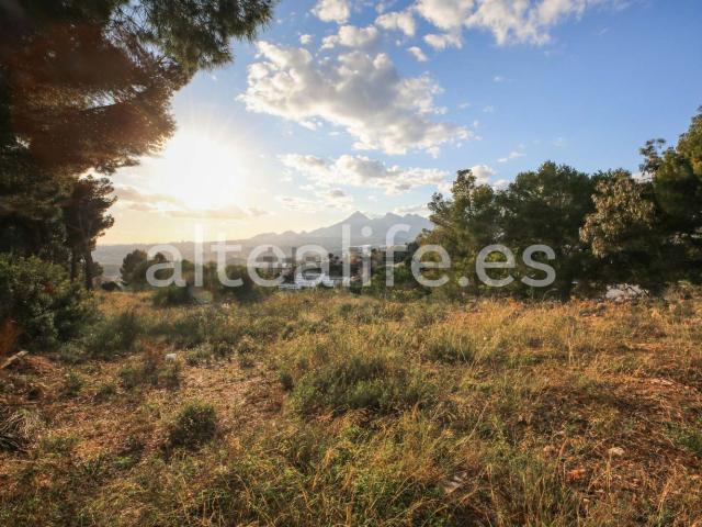 Terreno en venta en la Marina Baixa, Valencia