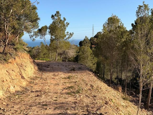 Terreno en venta en la Marina Baixa, Valencia