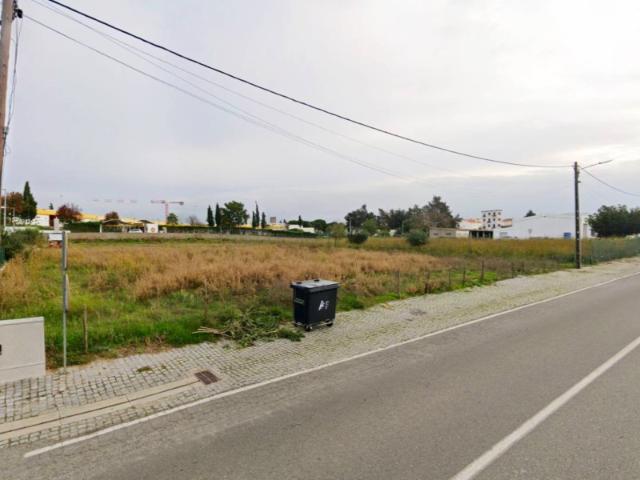 Terreno venda em Alter Do Chão, Portalegre