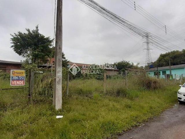 Terreno venda em Região Geográfica Imediata de Novo Hamburgo - São Leopoldo, Região Metropolitana de Porto Alegre