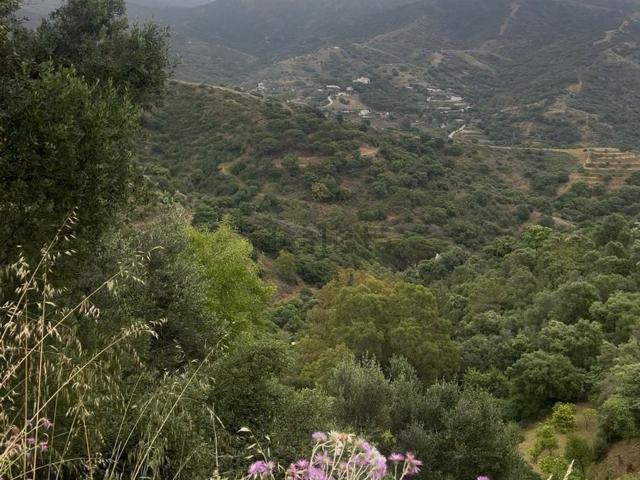 Terreno en venta en Rio Real, Costa del Sol Occidental
