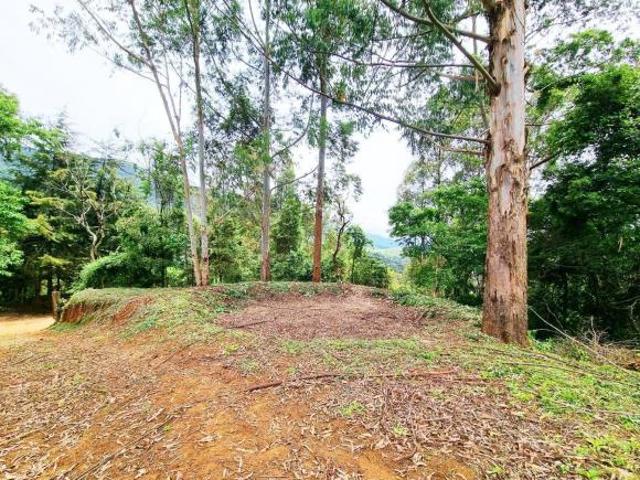 Terreno venda em Região Geográfica Imediata de Itajubá, Sapucaí-Mirim