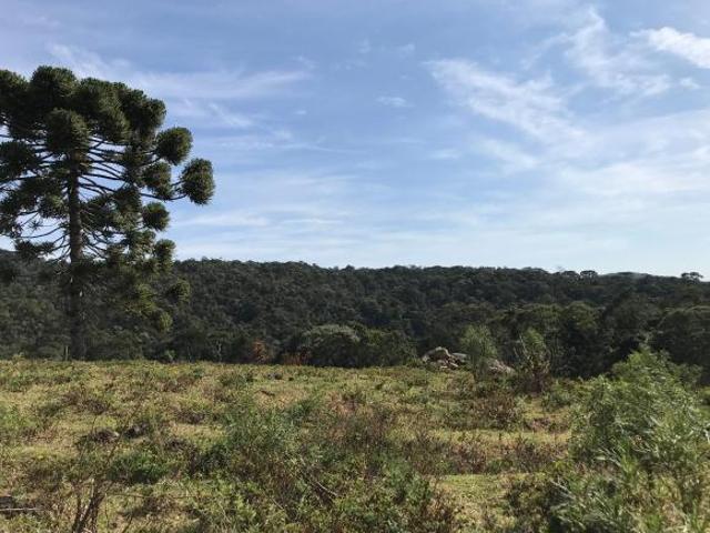 Terreno venda em Região Geográfica Imediata de Pouso Alegre, Córrego do Bom Jesus