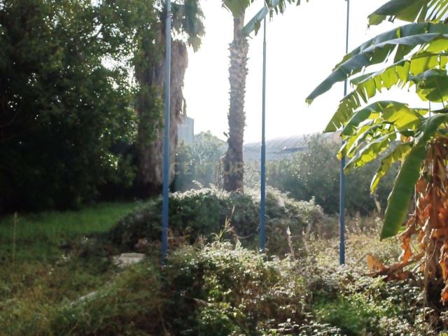 Terreno venda em Falagueira, Amadora