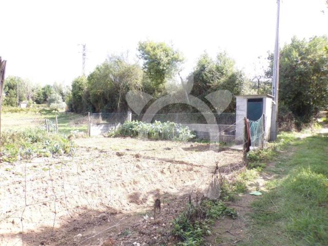 Terreno venda em Coimbrã, Ameal