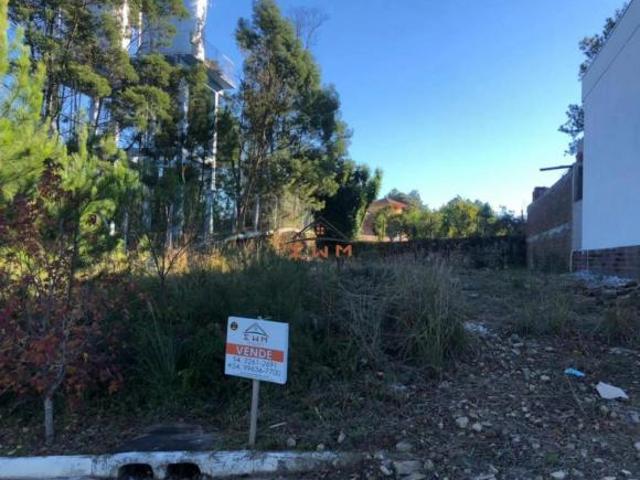 Terreno venda em Região Geográfica Imediata de Caxias do Sul, Farroupilha