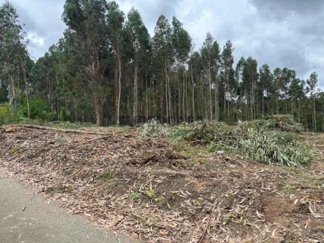 Terreno venda em Oliveira Do Bairro, Aveiro