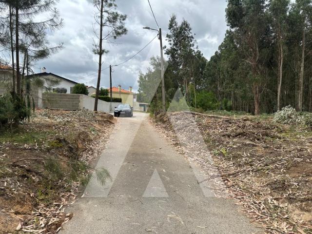 Terreno venda em Oliveira do Bairro