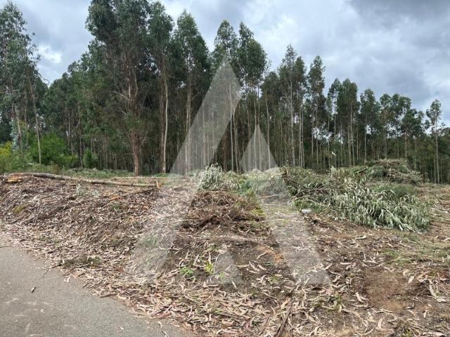 Terreno venda em Oliveira do Bairro