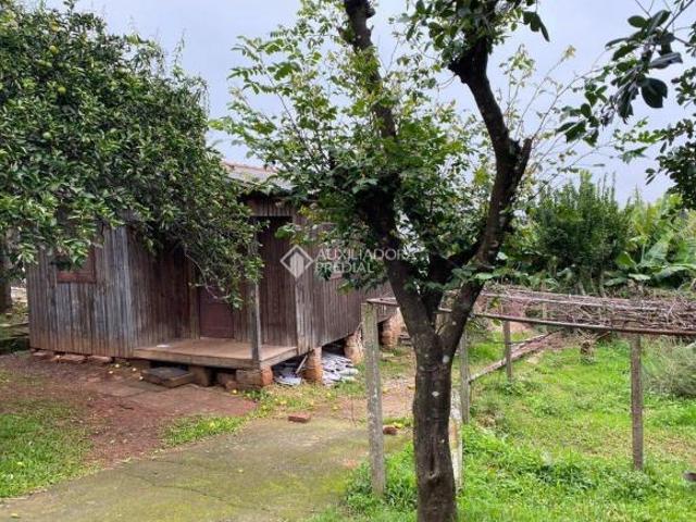 Terreno venda em Região Geográfica Imediata de Goiás - Itapuranga, Nova Crixás