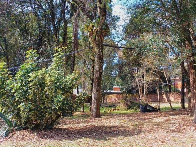 Terreno venda em Região Geográfica Imediata de Caxias do Sul, Caxias do Sul
