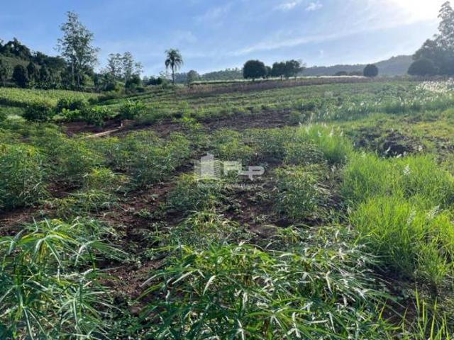 Terreno venda em Região Geográfica Imediata de Caxias do Sul, Feliz