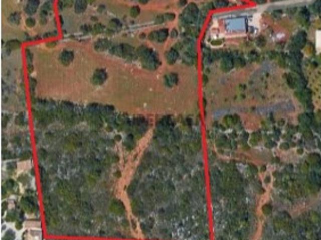 Terreno venda em Faro
