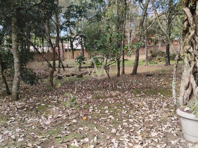 Terreno venda em Região Geográfica Imediata de Caxias do Sul, Caxias do Sul