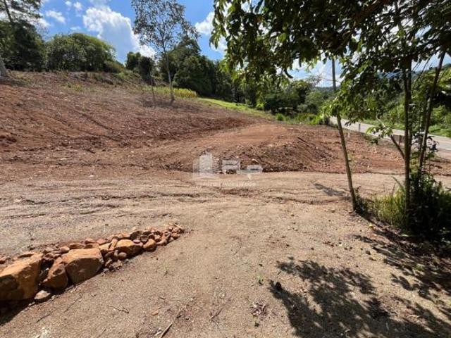 Terreno venda em Região Geográfica Imediata de Caxias do Sul, Feliz