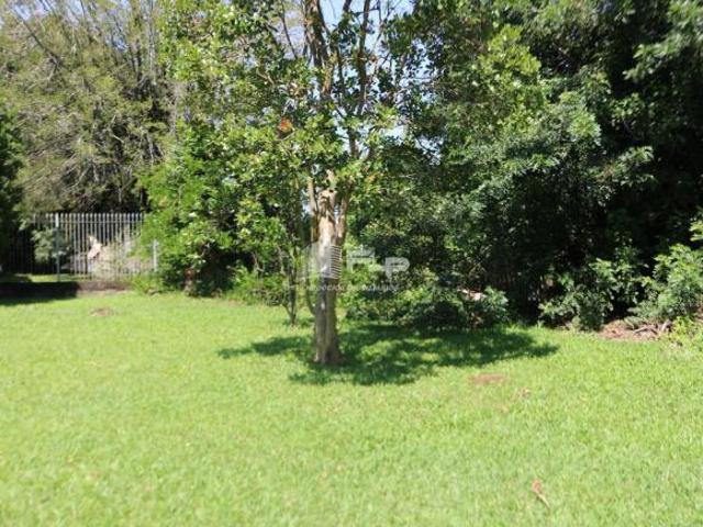 Terreno venda em Região Geográfica Imediata de Caxias do Sul, Feliz