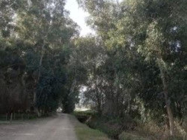 Terreno en venta en Montsià, Catalunya