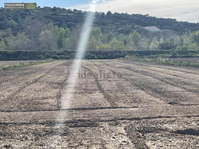 Terreno en venta en Montsià, Catalunya