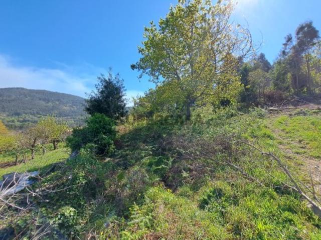 Terreno venda em Arga De Baixo, Viana Do Castelo