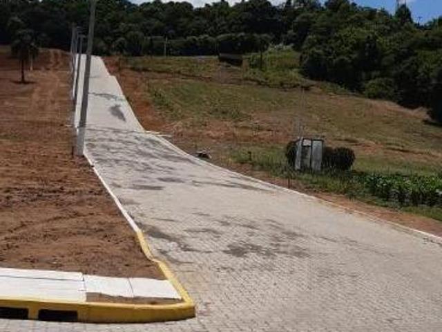 Terreno venda em Região Geográfica Imediata de Novo Hamburgo - São Leopoldo, São Sebastião do Cai