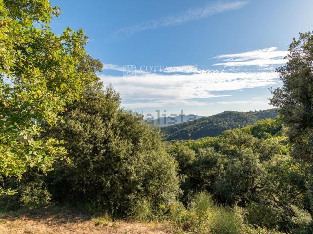 Terreno en venta en la Selva, Catalunya