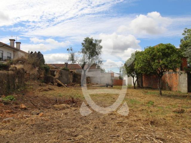 Terreno venda em Condeixa-a-nova, Coimbra