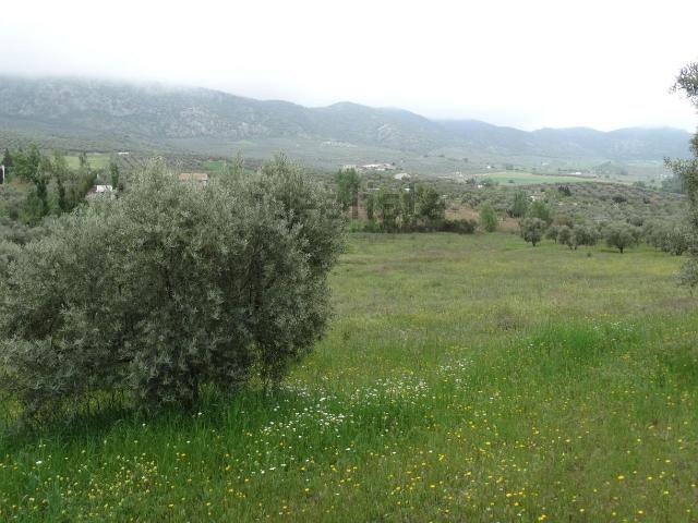Terreno en venta en Antequera, Andalucía