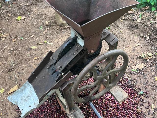 Terreno en venta en Candelaria Loxicha, Oaxaca