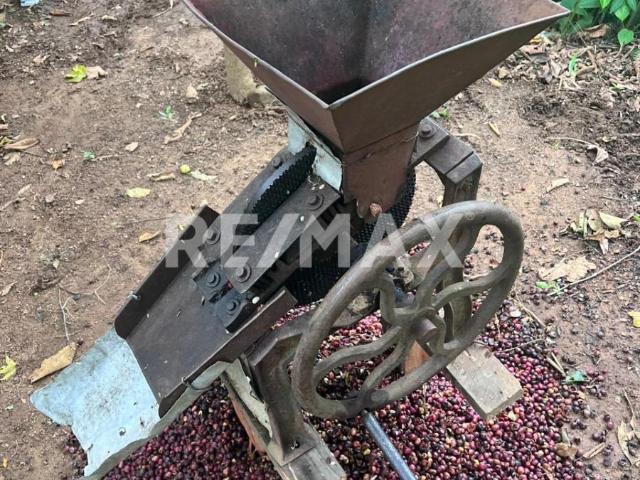 Terreno en venta en Candelaria Loxicha, Oaxaca