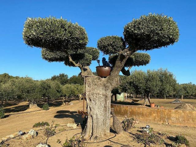 Casa en venta en Baix Empordà, Catalunya