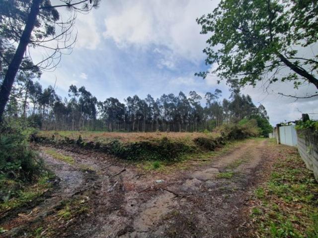 Terreno venda em Viana Do Castelo