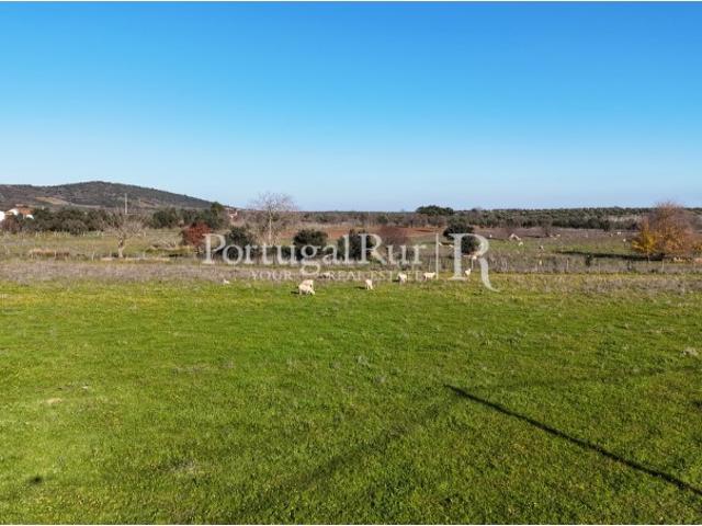 Terreno venda em Motrinos, Reguengos De Monsaraz