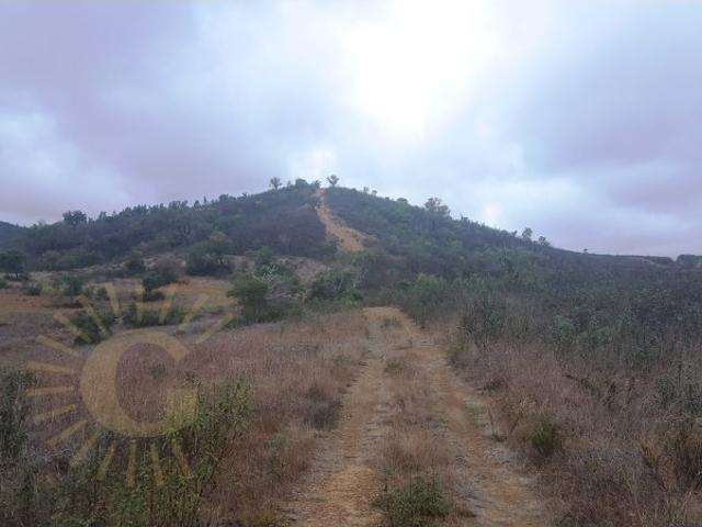 Terreno venda em Monchique, Faro