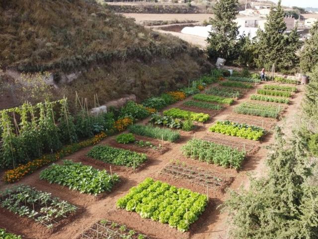 Terreno en venta en Garrigues, Catalunya
