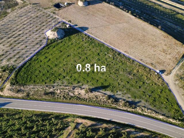 Terreno en venta en Garrigues, Catalunya