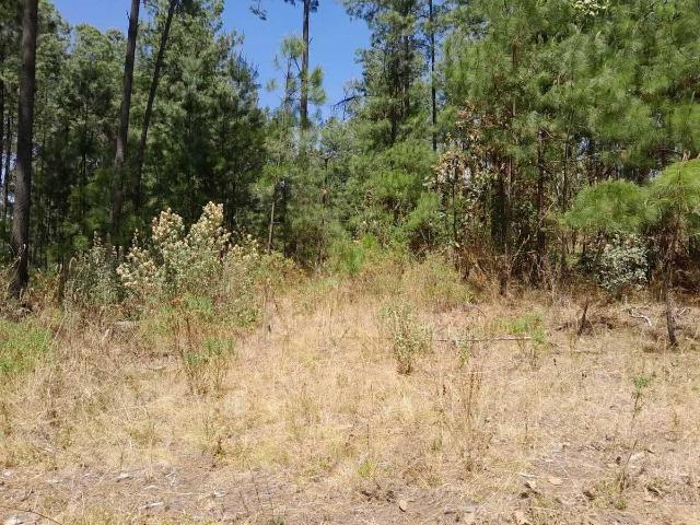 Terreno en venta en Amanalco, Estado de México