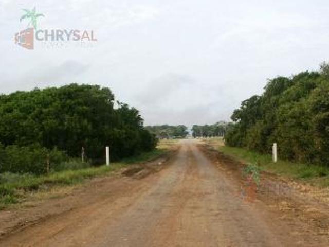 Terreno en venta en Aldama, Tamaulipas
