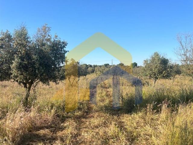 Terreno venda em Bairro dos Abibes, Estremoz