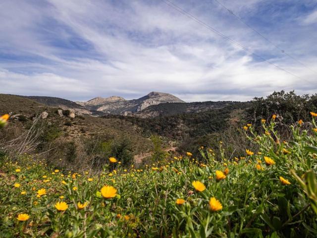 Terreno en venta en Guadalteba, Andalucía
