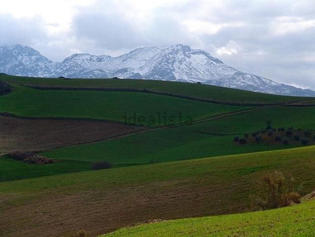 Terreno en venta en Guadalteba, Andalucía