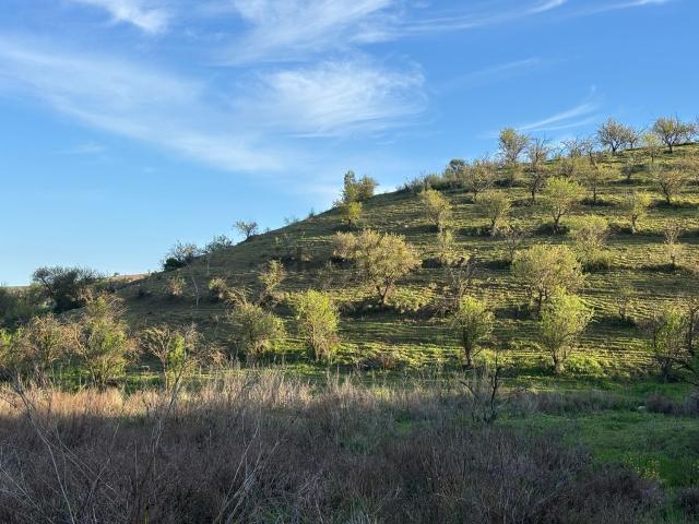 Terreno en venta en El Relojillo, Ardales