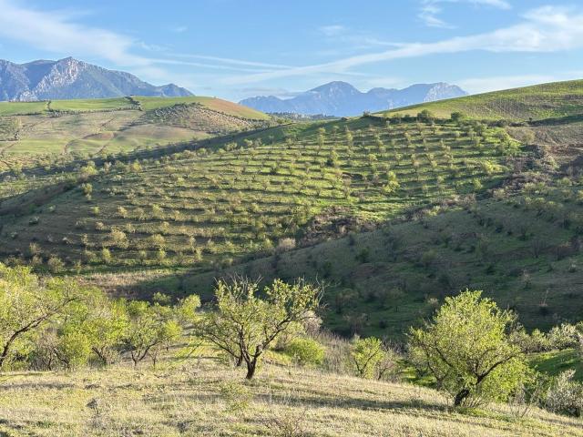 Terreno en venta en Guadalteba, Andalucía