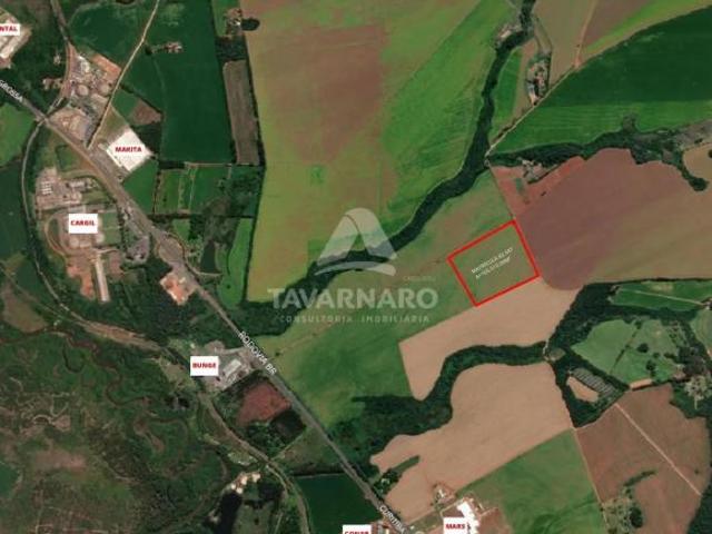 Terreno venda em Região Geográfica Imediata de Ponta Grossa, Ponta Grossa