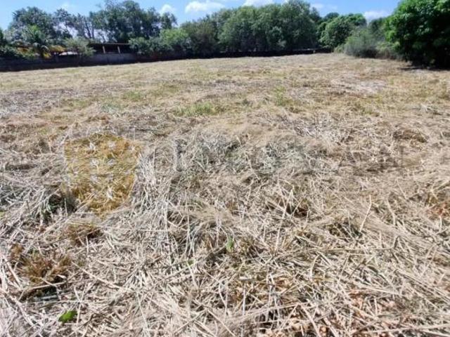 Terreno venda em Região Imediata de Ribeirão Preto, Região Metropolitana de Ribeirão Preto