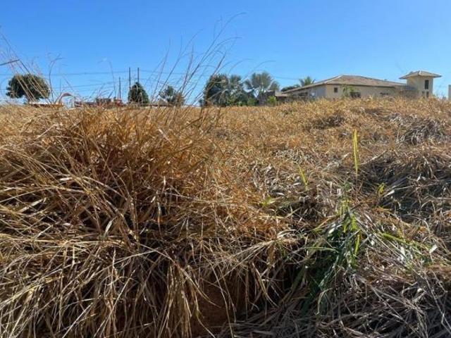 Terreno venda em Região Geográfica Imediata de Cataguases, Astolfo Dutra