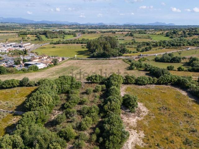 Terreno en venta en Pla de Mallorca, Baleares