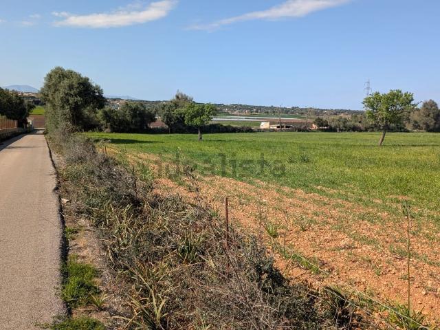 Terreno en venta en Pla de Mallorca, Baleares
