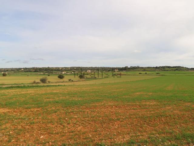 Terreno en venta en Pla de Mallorca, Baleares