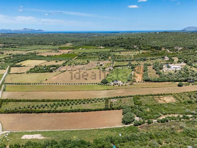Terreno en venta en Pla de Mallorca, Baleares